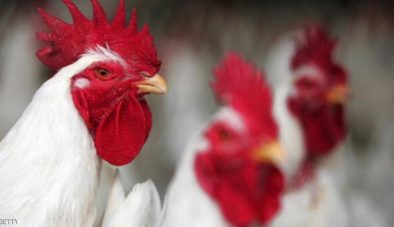 صورة أرشيفية