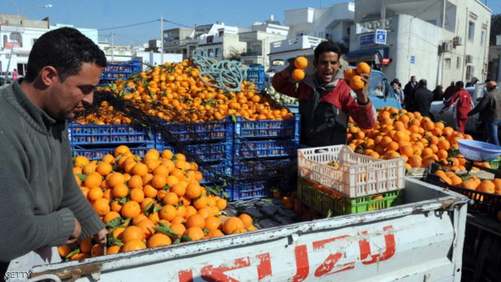 غالبية شباب تونس يفضلون العمل في القطاع العام