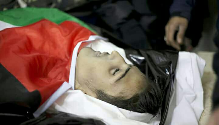 صورة للشهيد 