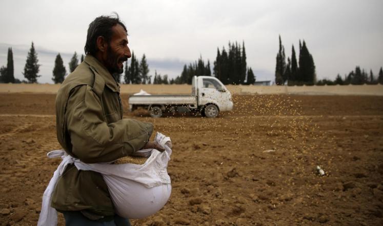 فلاح سوري يبذر القمح بالغوطة الشرقية بالقرب من دمشق (رويترز)