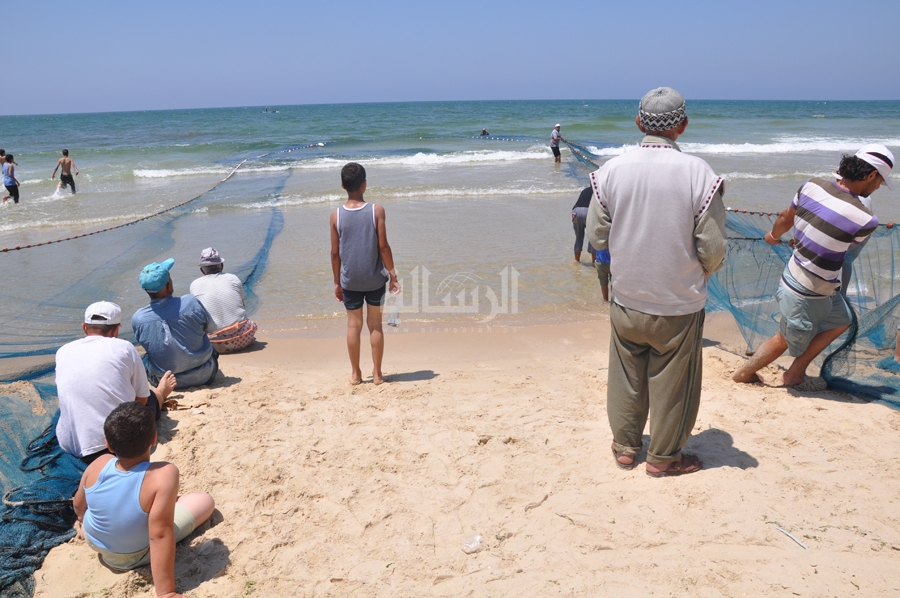 "الصيد" ضحية تأمين قناة السويس