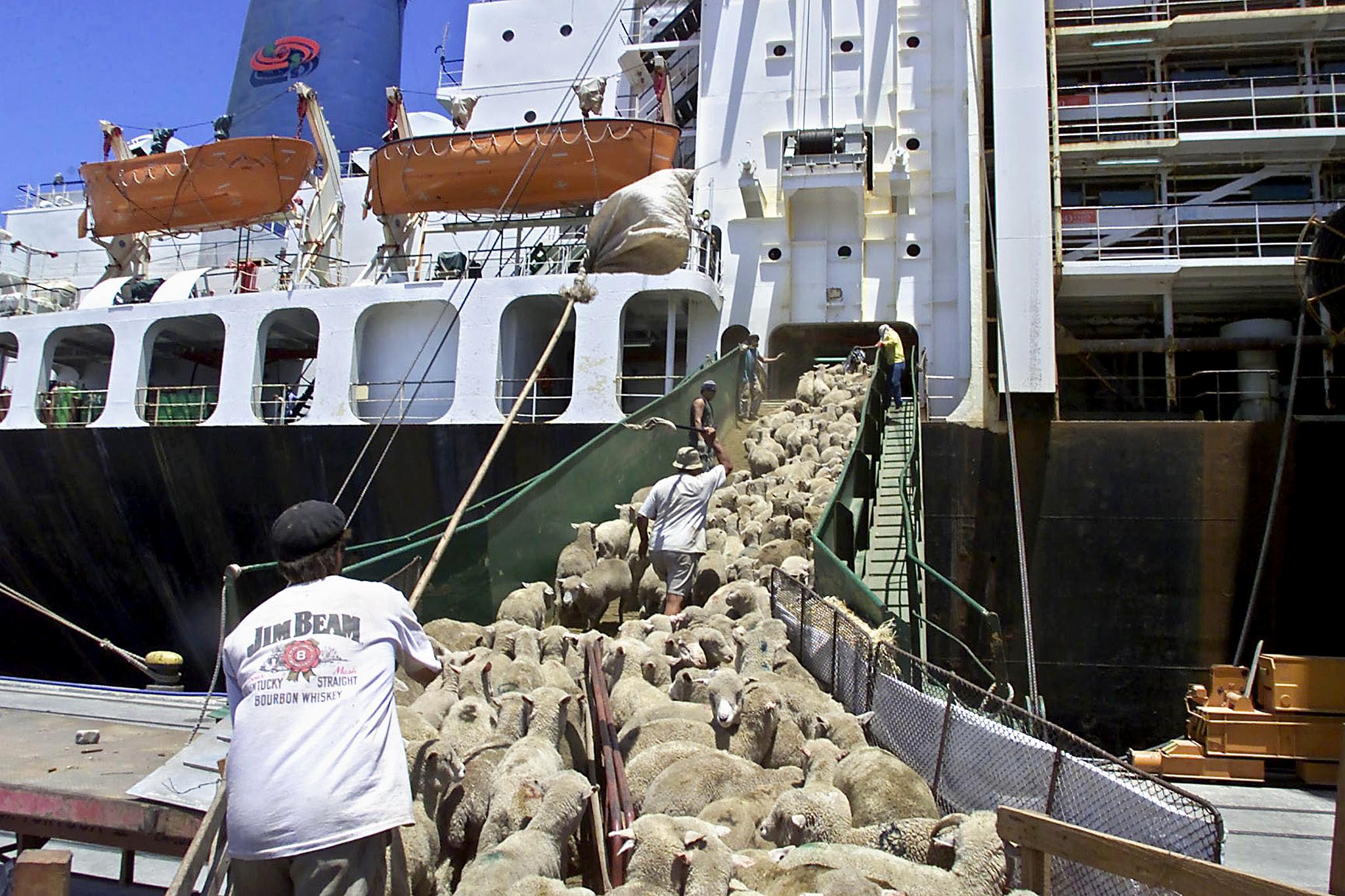  الباخرة Ocean Drover