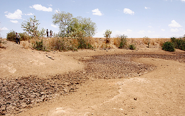 جانب من الجفاف في الصومال 