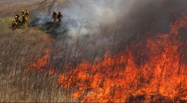 صورة "أرشيفية"