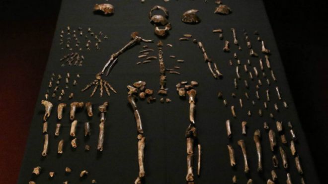 اكتشاف حفريات لمخلوقات شبيهة بالبشر