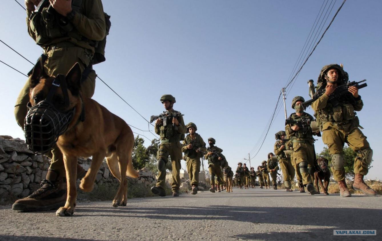 صور "أرشيفية"