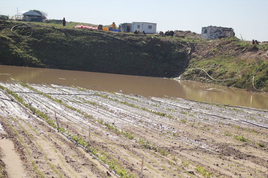 صورة ارشيفية