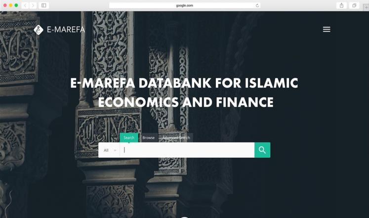 صورة مأخوذة من موقع "معرفة" لواجهة بنك المعلومات الجديد