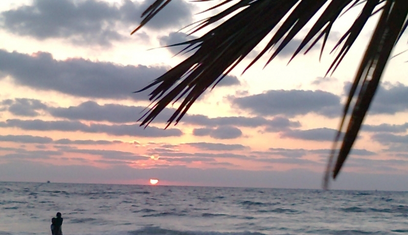 صورة تعبيرية