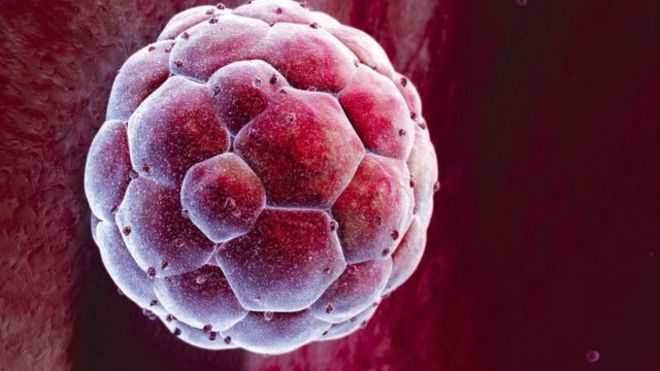 السماح للعلماء في بريطانيا بـ"تعديل الأجنة وراثيا"