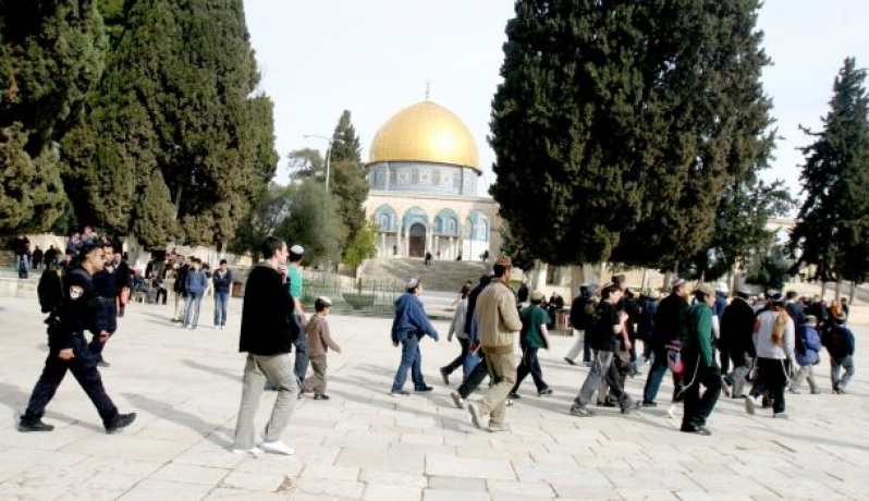 خلال اقتحامات الأقصى "أرشيف"