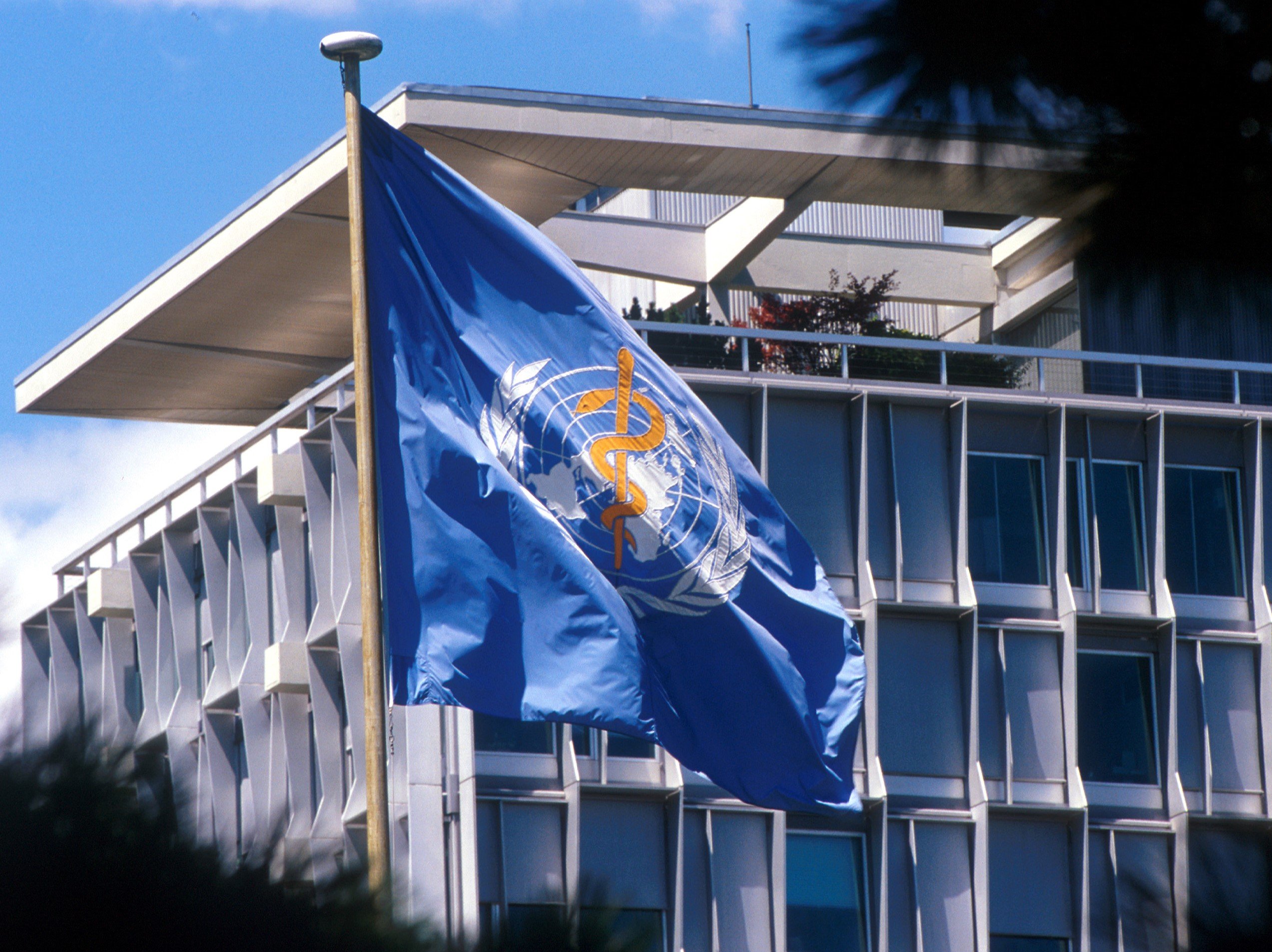 ثلثا سكان العالم دون الـ50 يعانون من "الهربس"