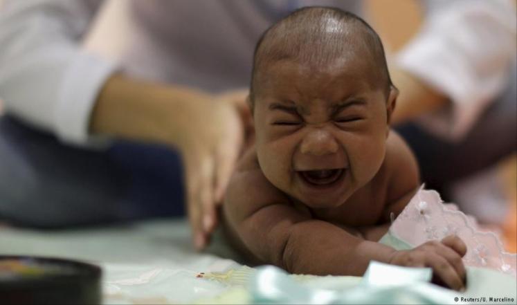 هناك أدلة وثيقة ترجح صلة فيروس زيكا بالتشوهات الخلقية 