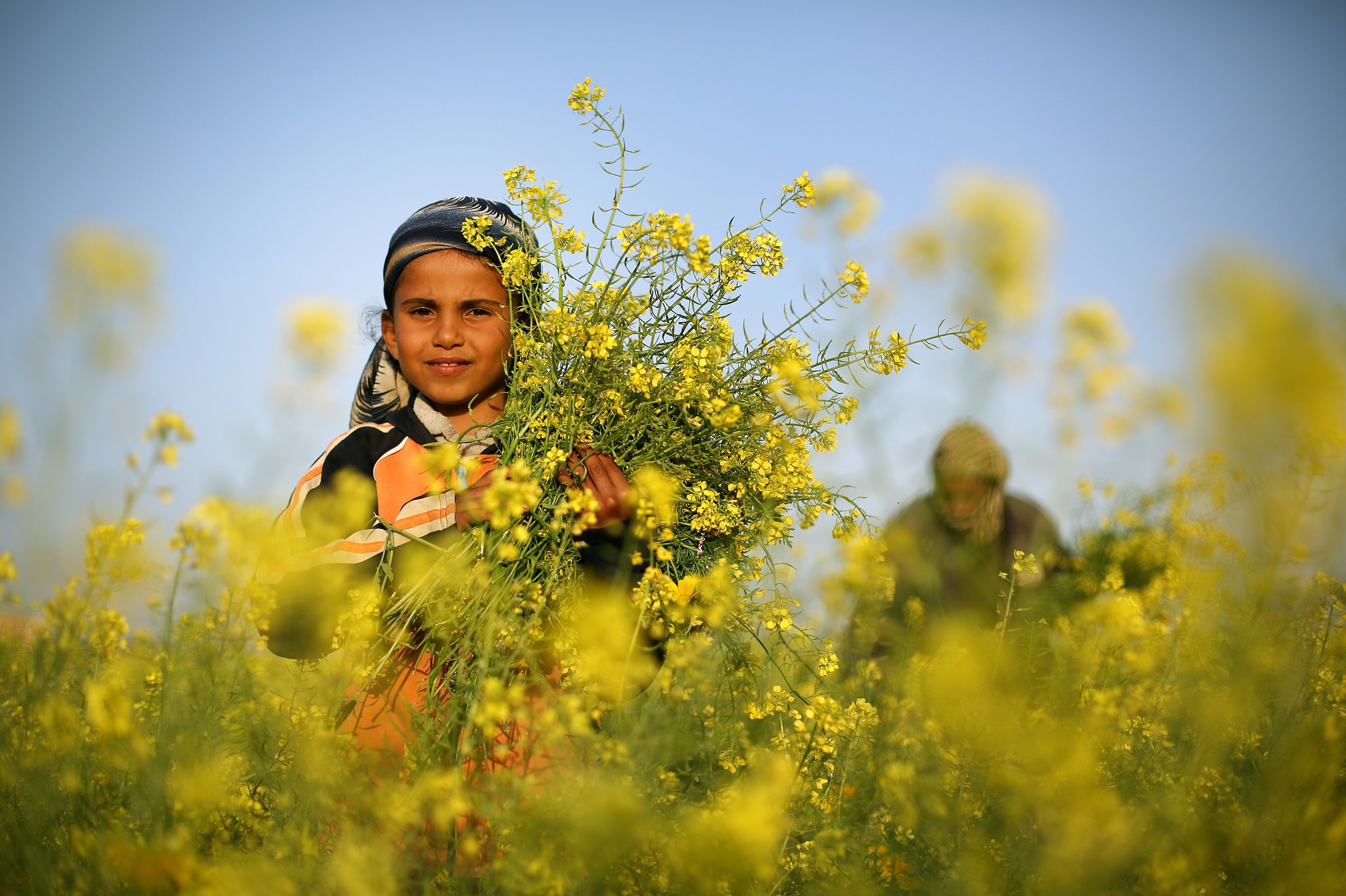 صورة تعبيرية