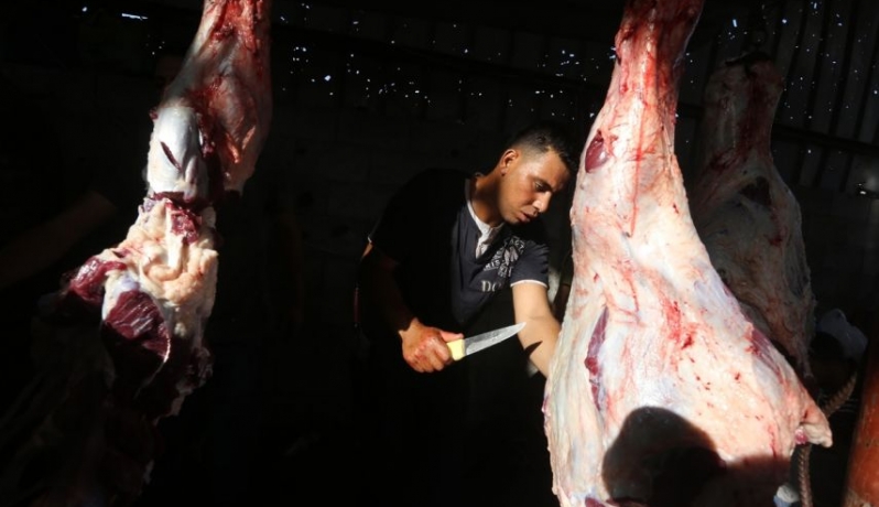 "صحفيون ضد الفساد" يوزعون الأضاحي على الأسر المستورة