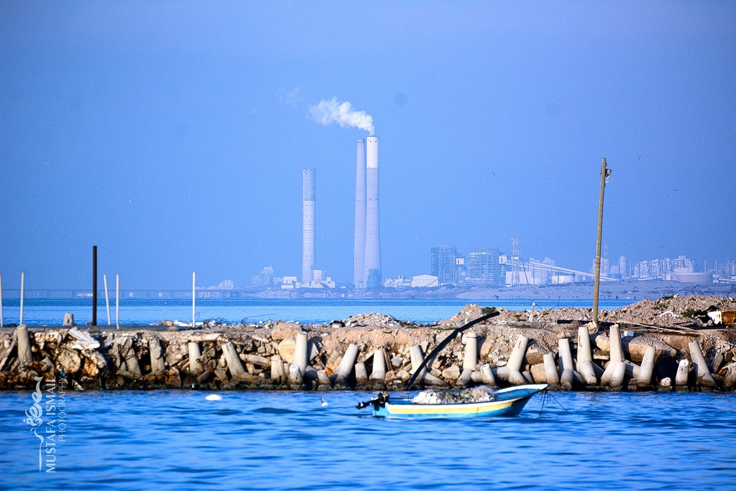 الأرشيف