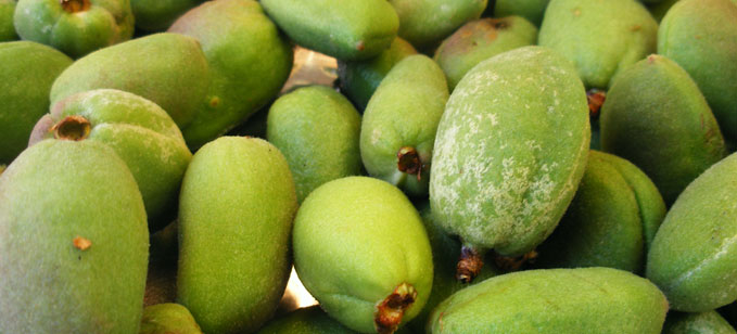 تعرفي على منافع اللوز الأخضر!