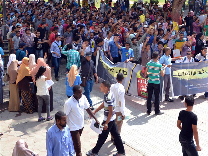 جامعات مصر