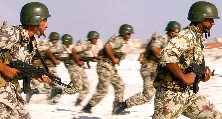 الجيش المصري (أرشيف)